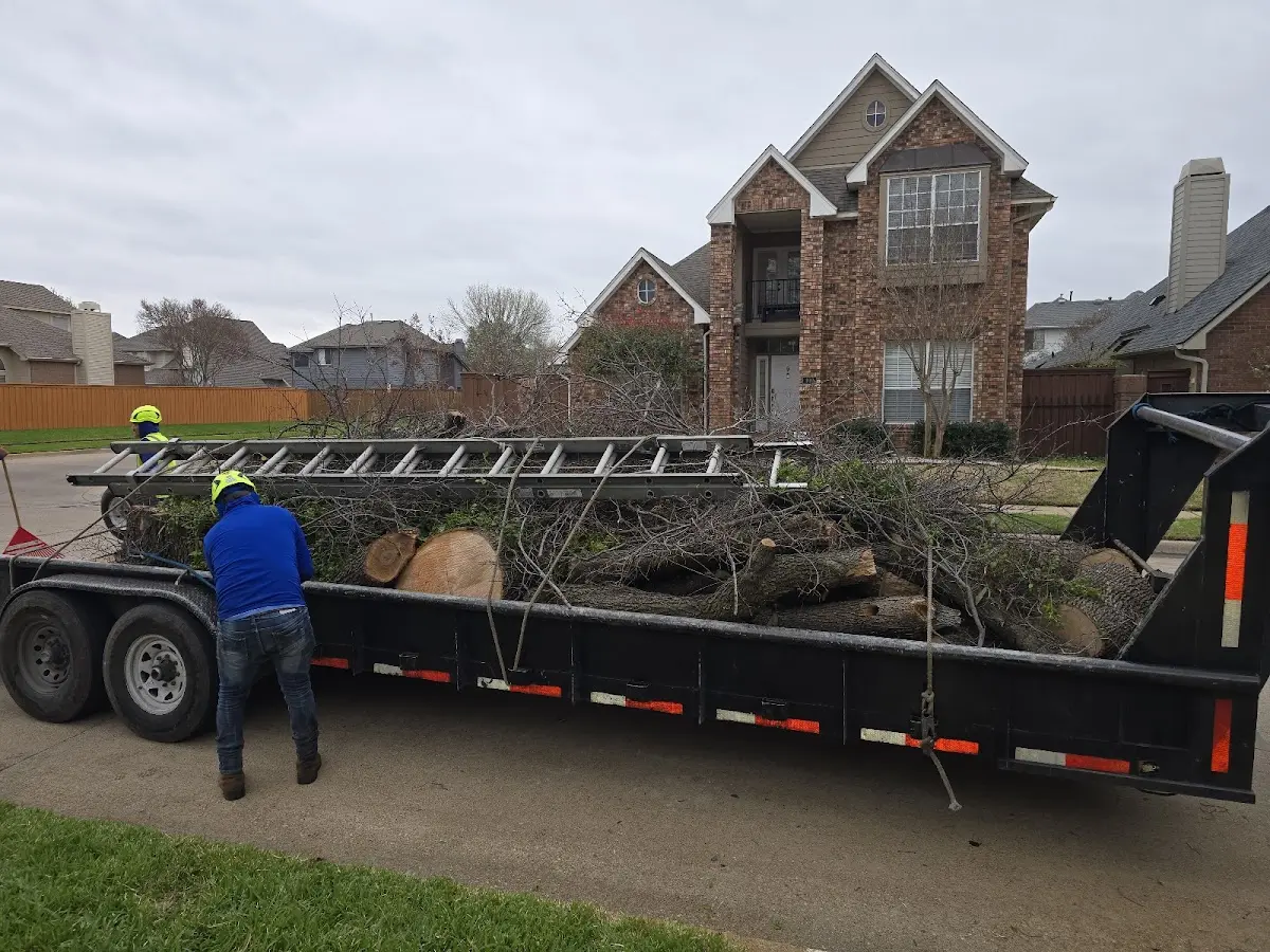 Expert Lot Clearing with proper safety equipment in Summit Lake